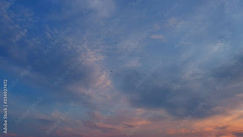 Sunset (sunrise) sky with flying birds. Cirrus and cumulus clouds colored in red, orange, yellow and blue Sunset (sunrise) sky with flying birds. Cirrus and cumulus clouds colored in red, orange, yellow and blue