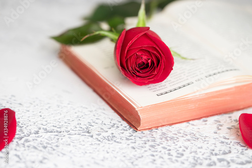 Canvas Print Red rose and open book symbols of Sant Jordi (the Saint Georges Day) and World Book Day, celebrated on 23rd of April