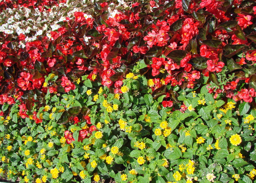An impressive natural pattern of various shades and colors of artificial flowering vegetation.