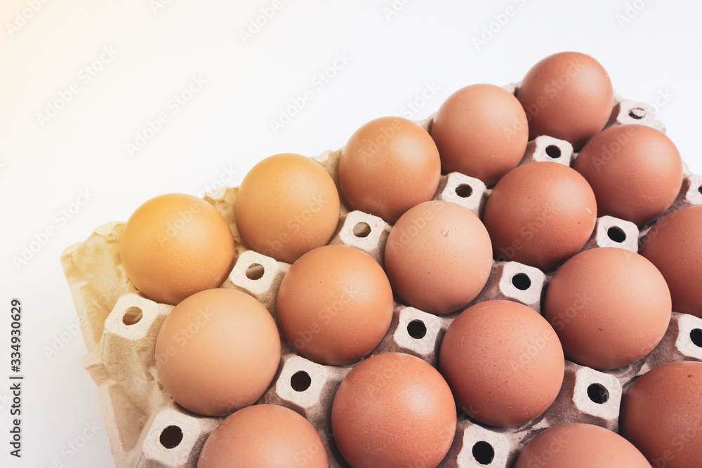 fresh organic egg in paper panel on white background fresh organic egg in paper panel on white background
