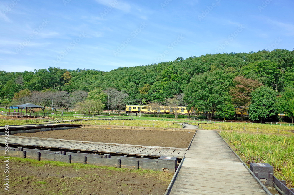 北山公園　西武新宿線の黄色い電車