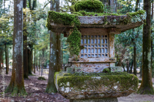 An old moss-covered lantern in the forest.