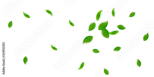 Falling green leaves. Fresh tea neat leaves flying