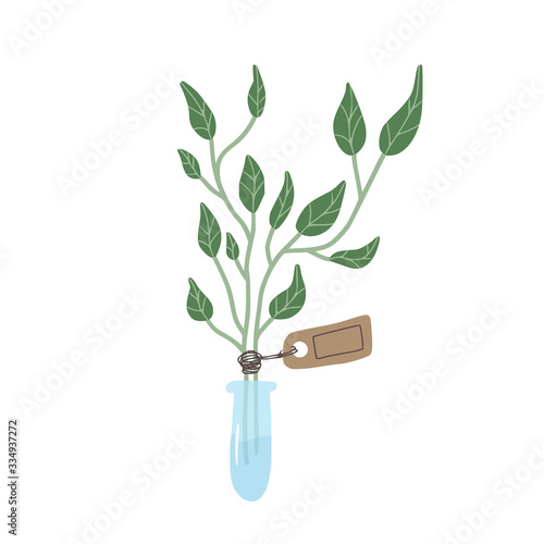 Plant sapling hand drawn emblem. Vector design..