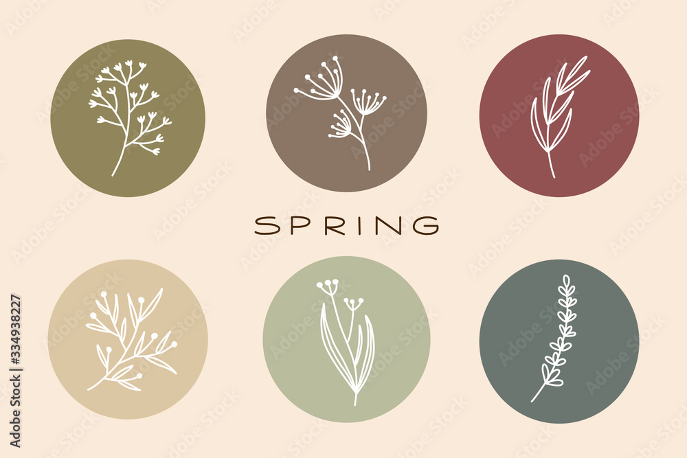 Flower set. Wildflowers. Spring Summer A minimalistic set in pastel colors. Simple colored vector illustration.