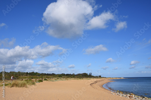 Fototapeta Naklejka Na Ścianę i Meble -  Skåne Küste an der Ostsee in Schweden Vårhallen Österlen	