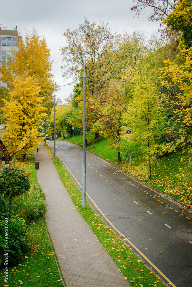 Fototapeta premium Autumn leaves in the city on the park paths