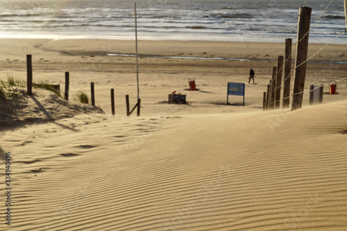 Sunset Dunes at the beach of Bloemendaal aan Zee , Holland, Netherlands