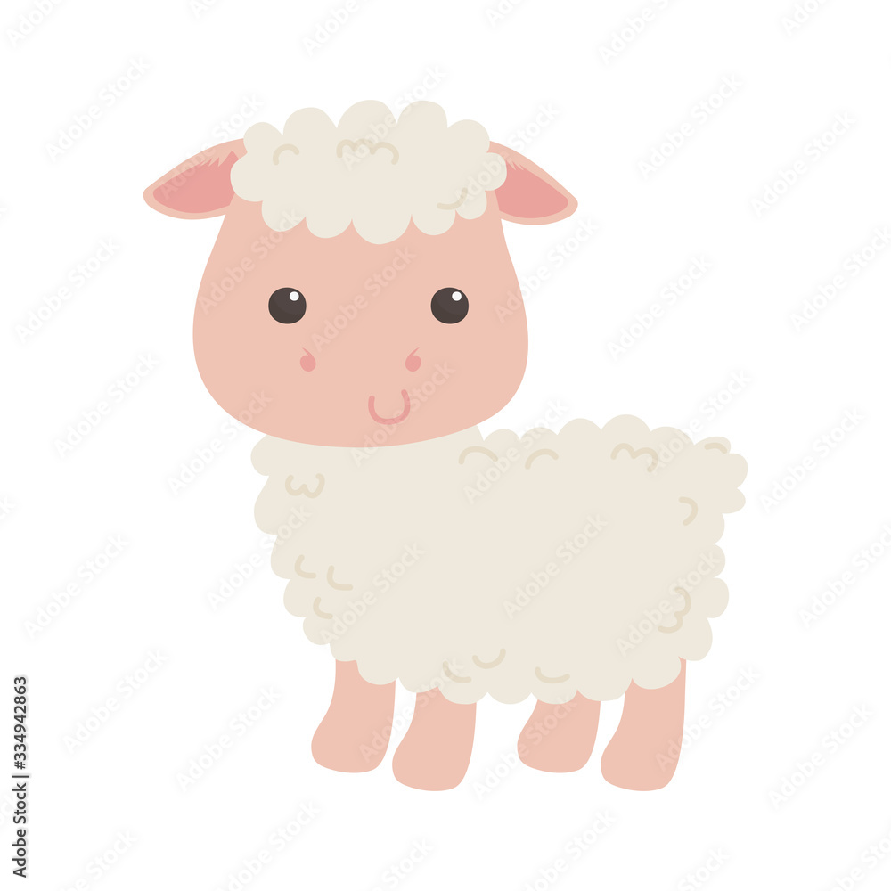 Obraz premium cute little sheep animal cartoon isolated icon design