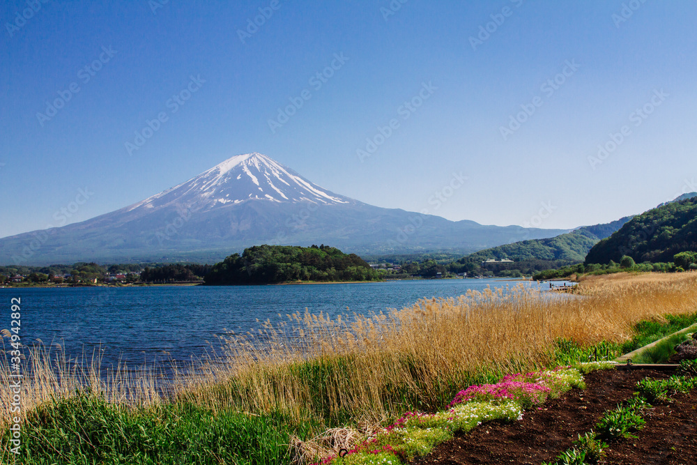 Mt Fuji at lake Kawaguchiko