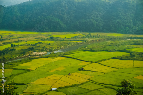 Fototapeta Naklejka Na Ścianę i Meble -  paddy fields in khasi and jaintia Hills of Meghalaya