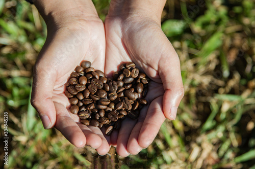 Tableau sur toile coffee bean on hand