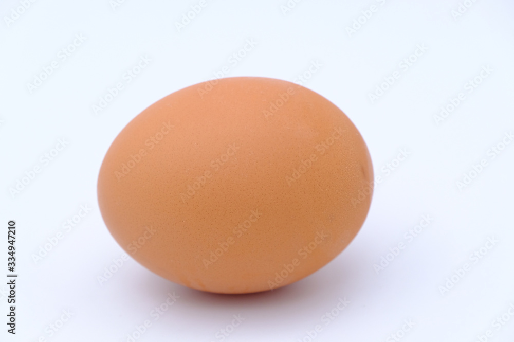 chicken egg isolated on white background chicken egg isolated on white background
