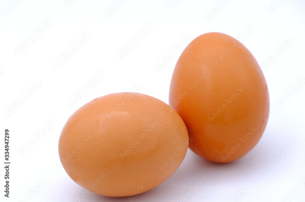 chicken egg isolated on white background chicken egg isolated on white background