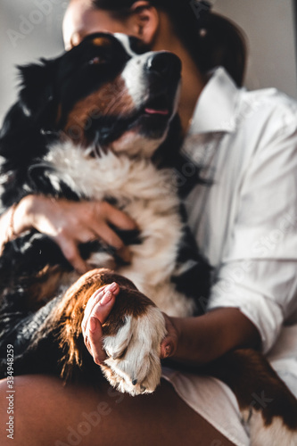 Young beautiful woman hugging her pet - dog at home. Close up portrait. Bernese Mountain Dog