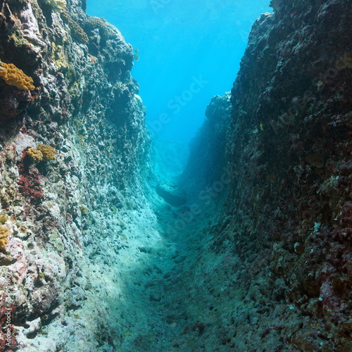 Underwater a narrow passage in a rocky reef, Pacific ocean, French Polynesia, Oceania