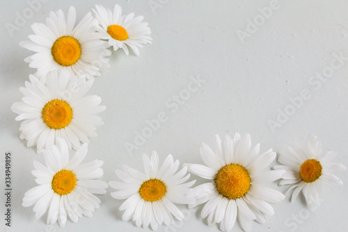 Beautiful daisy flowers in glass vases on light background. Floral composition in home interior.Soft focus © Irina