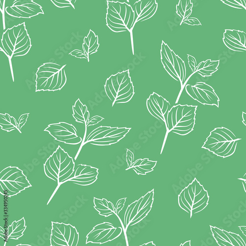 Mint leaf outline seamless pattern on green background. Simple vector monochrome illustration of aromatic herbs. Branches and leaves of peppermint.