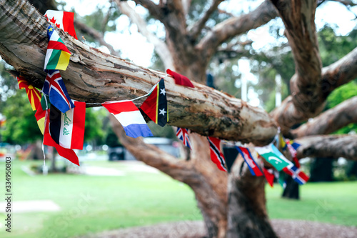 Flags of different countries in the tree. Multicultural network, inclusivity concept. photo