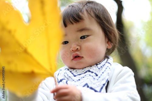 Wallpaper Mural 落ち葉 Torontodigital.ca