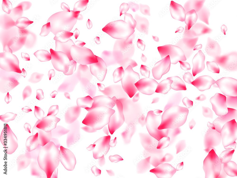 Japanese cherry blossom pink flying petals Japanese cherry blossom pink flying petals
