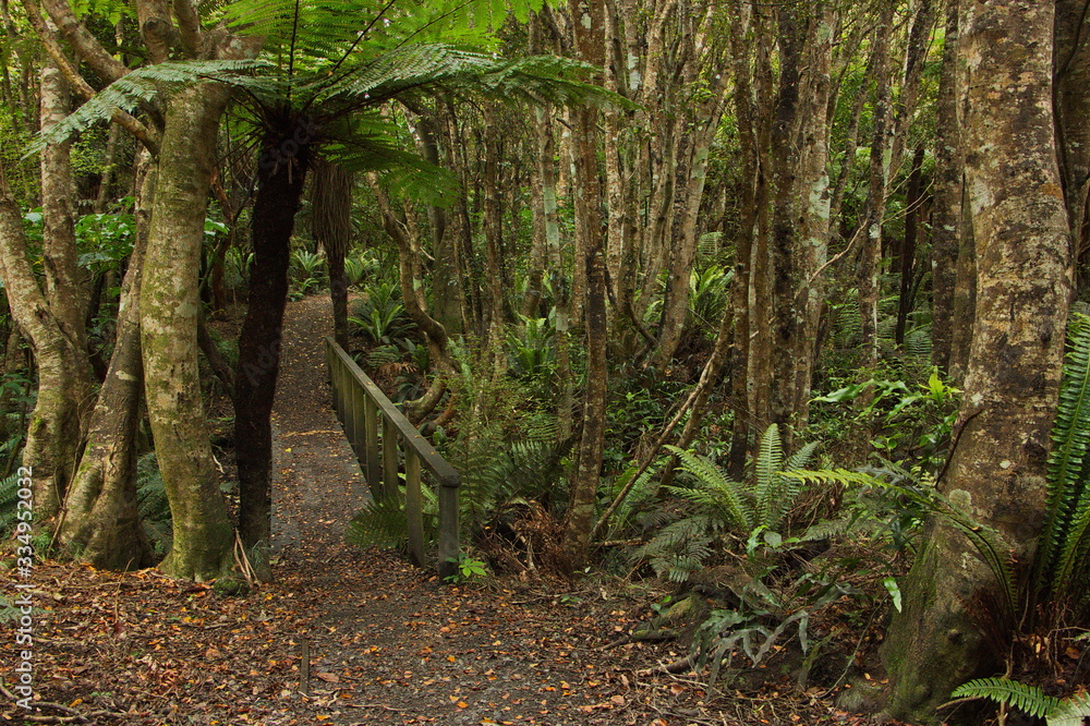 Mores Lookout Track in Riverton,Southland on South Island of New Zealand
Mores Lookout Track in Riverton,Southland on South Island of New Zealand