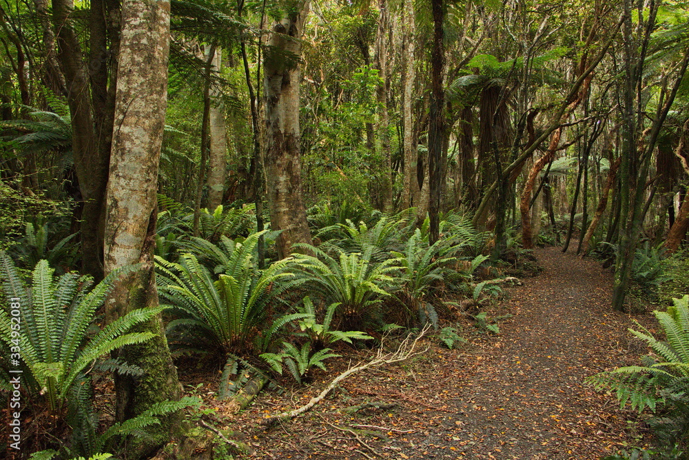 Fototapeta premium Mores Lookout Track in Riverton,Southland on South Island of New Zealand 