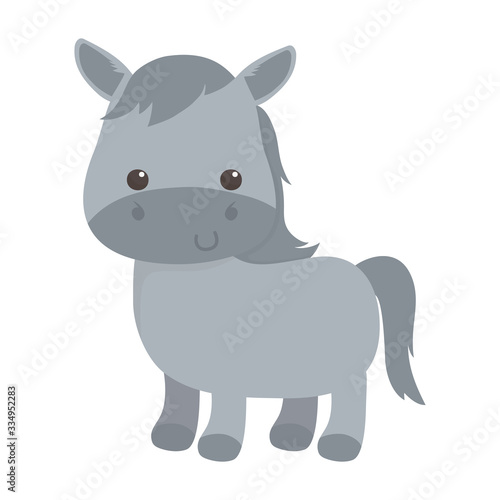 cute little horse cartoon animal isolated icon design © Stockgiu