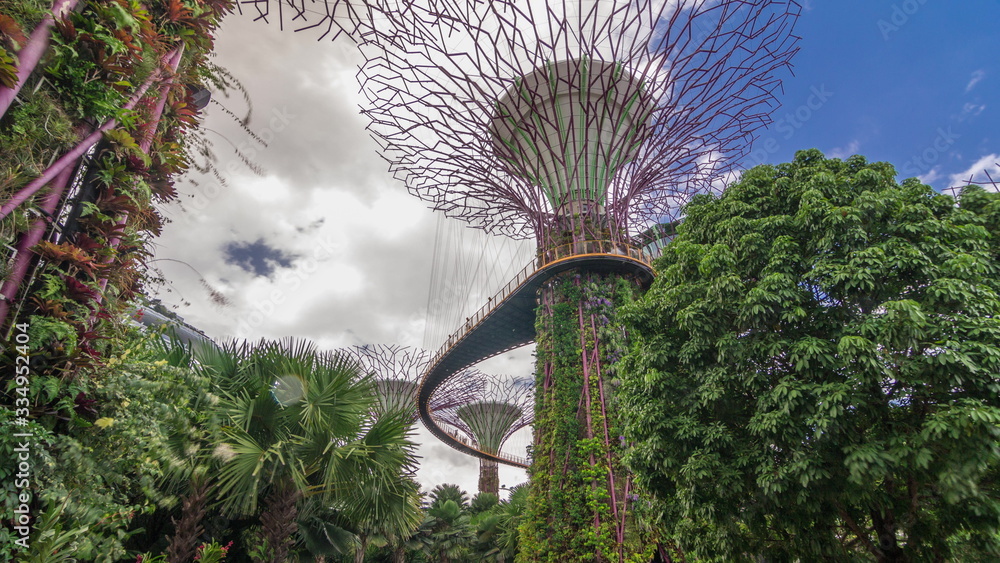 Fototapeta premium Futuristic view of amazing supertrees at Garden by the Bay timelapse hyperlapse in Singapore.