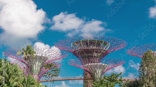 Futuristic view of amazing supertrees at Garden by the Bay timelapse in Singapore.