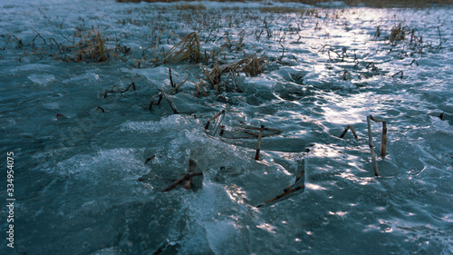 frozen grass in turquoise ice on the lake pond