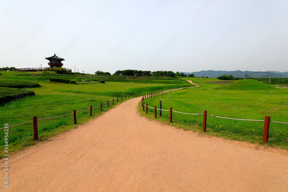 Obraz premium 보행로가 보이는 아름다운 공원의 풍경