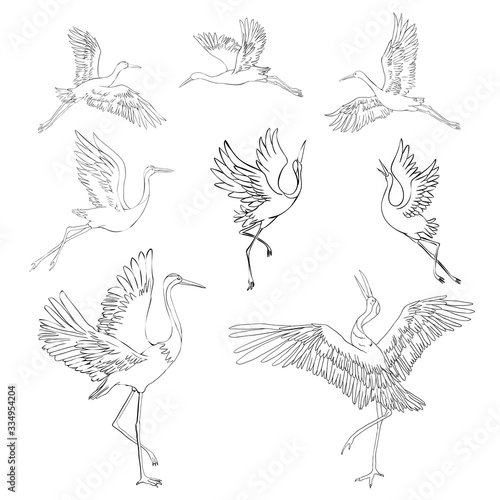 Silhouette or shadow black ink icons of crane birds or herons flying and standing set. Group of storks outline template or creative background vector illustration isolated on white.