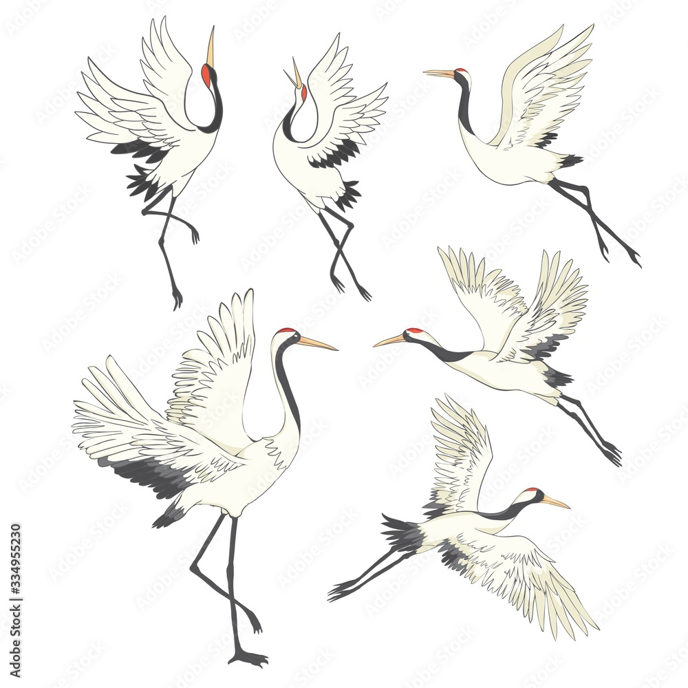 Naklejka premium Zestaw ptaków. Żuraw, bocian, czapla. Wektor.