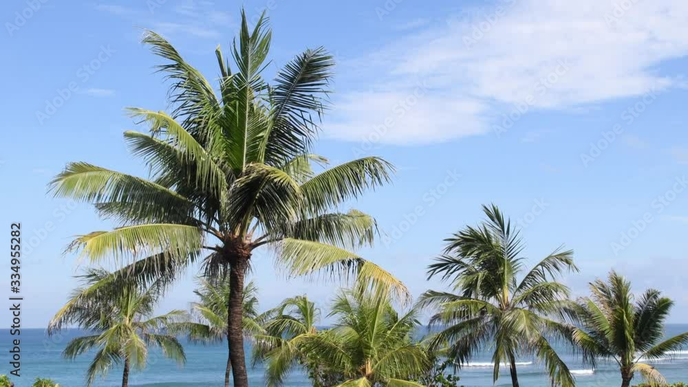 Video looking at top of palm trees in front of blue sky and blue ocean in Bali, Indonesia. Copy Space. Tropical island vacation template 4k. Palm trees moving. Ocean moving. Video looking at top of palm trees in front of blue sky and blue ocean in Bali, Indonesia. Copy Space. Tropical island vacation template 4k. Palm trees moving. Ocean moving.