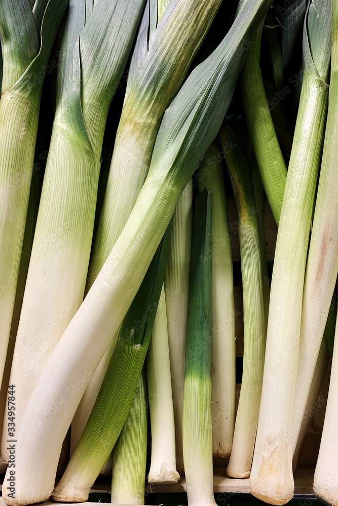 Banch of fresh leek in the market counter. Vegetables background texture. Advertisement backdrop Banch of fresh leek in the market counter. Vegetables background texture. Advertisement backdrop