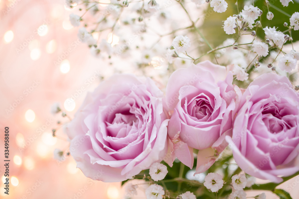 淡いピンクのバラ　花のキラキラの背景