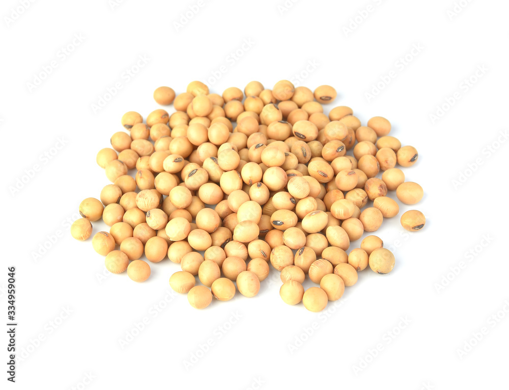Dry organic soybean seed pile on white background Dry organic soybean seed pile on white background
