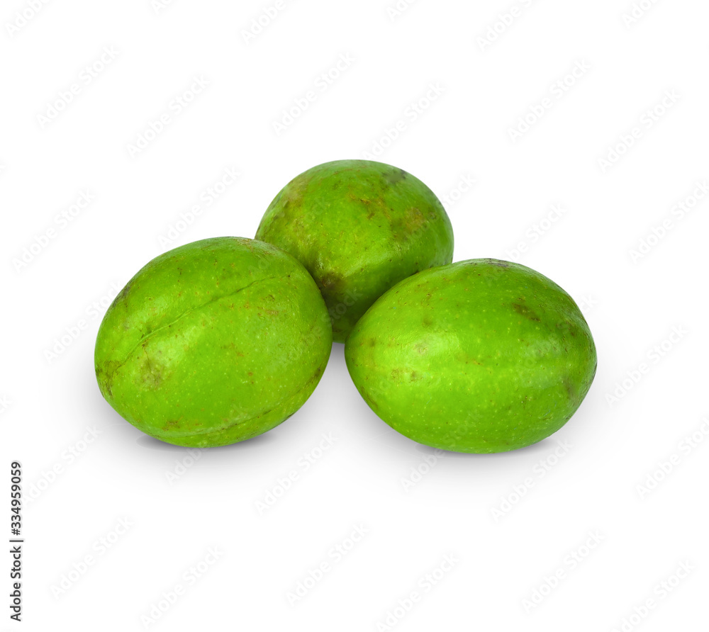 Chebulic Myrobalans, Myrolan Wood (Terminalia chebula Retz.) Fruit, medicinal properties. Chebulic Myrobalans, Myrolan Wood (Terminalia chebula Retz.) Fruit, medicinal properties.