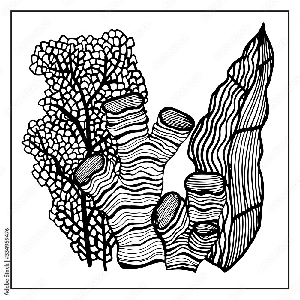 Fototapeta premium Coral and Algae vector graphic sketch handdraw