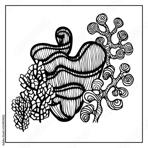 Coral and Algae vector graphic sketch handdraw 
