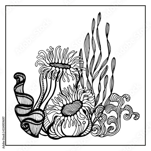 Coral and Algae vector graphic sketch handdraw 