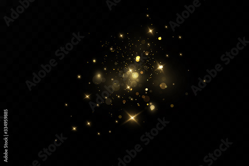 Christmas.cosmic dust. Glitter effect of particles. Gold is sparkling. Star dust sparkling particles on a transparent background. Vector illustration.magic.