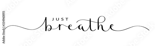JUST BREATHE vector brush calligraphy banner with swashes