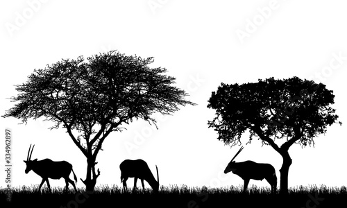 Canvas Print Illustration of African landscape on safari with antelopes or gazelles under tropical trees