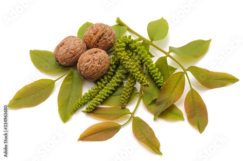 Green nuts with leaves.