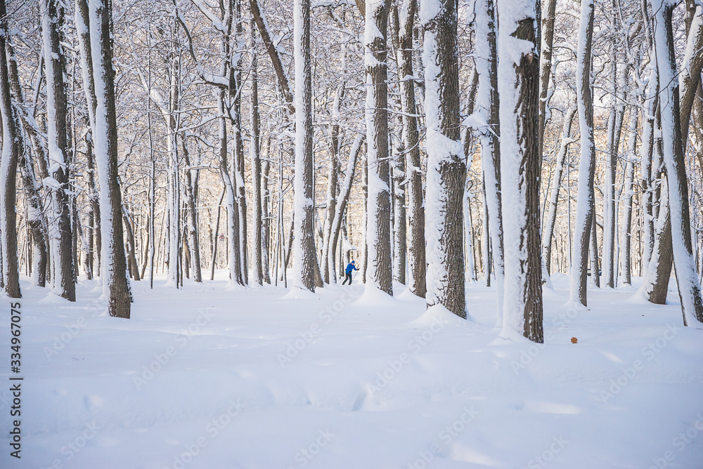 Beautiful winter landscape with trees covered by fresh snow on sunny day