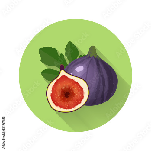 Fig anjeer vector illustration. Fig anjeer icon. Fresh healthy food organic natural food isolated