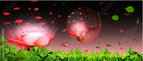 Rosa em bola de vidro