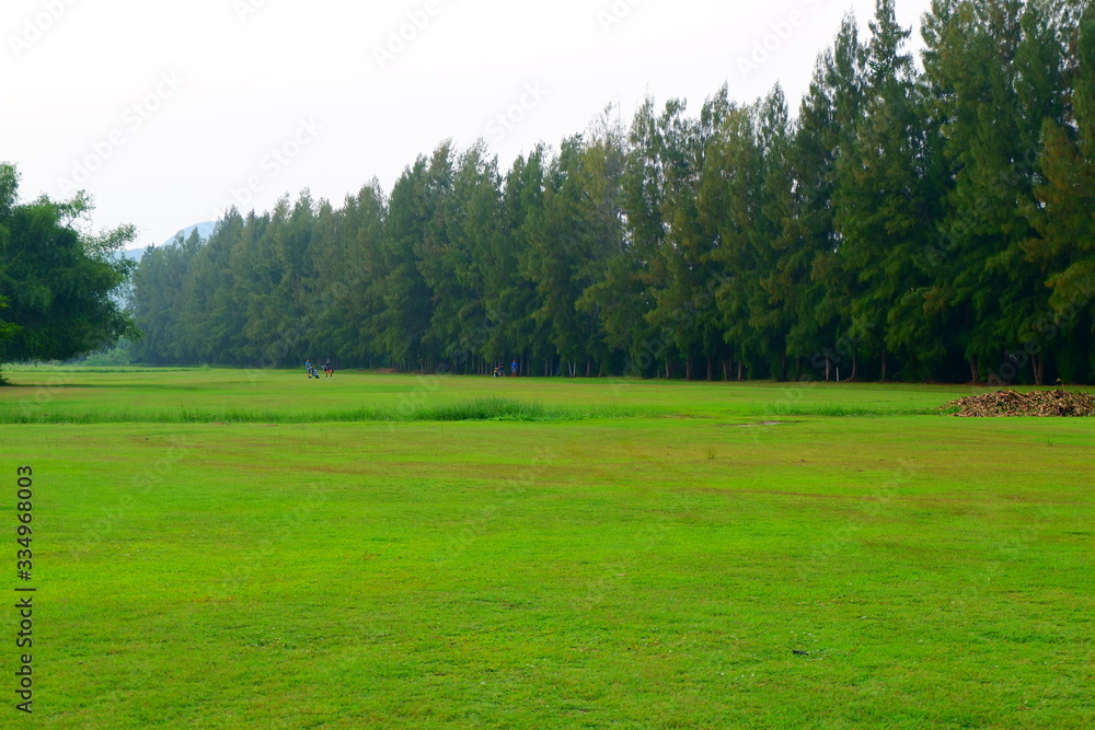 Obraz premium Golf course in the evening